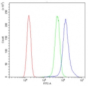 Flow cytometry testing of human SiHa cells with Cdc20 antibody at 1ug/10^6 cells (blocked with goat sera); Red=cells alone, Green=isotype control, Blue= Cdc20 antibody.