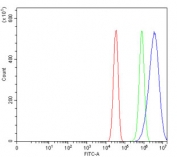 Bid Antibody Mouse Neuro-2a Cell FACS. Flow cytometry testing of mouse Neuro-2a cells with Bid antibody at 1ug/million cells (blocked with goat sera); Red=cells alone, Green=isotype control, Blue= Bid antibody.