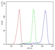 CD44 Antibody Jurkat Cell FACS. Flow cytometry analysis of CD44 / CD44 antigen expression in human Jurkat cells using rabbit polyclonal antibody at 1 ug per 10^6 cells following blocking with goat sera. The CD44 antibody-stained population (blue) demonstrates a pronounced right-shift compared to cells alone (red) and isotype control (green), indicating strong cell surface expression of CD44. The clear separation between populations supports its use for identifying, gating, and quantifying CD44-positive T cell populations in flow cytometry assays.