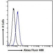 FACS testing of fixed and permeabilized human HepG2 cells with AKT3 antibody (blue) at 10ug/ml and naive goat Ig (black).
