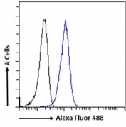 FACS testing of fixed and permeabilized human A431 cells with STAT3 antibody (blue) at 10ug/ml and naive goat Ig (black).