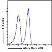 FACS testing of fixed and permeabilized human A431 cells with NDUFS8 antibody (blue) at 10ug/ml and naive goat Ig (black).
