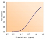 Sandwich ELISA using the Calnexin antibody at 1.5ug/ml as the detect.