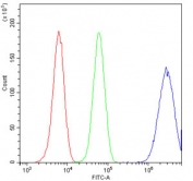 Flow cytometry testing of human U-2 OS cells with 14-3-3 sigma antibody at 1ug/10^6 cells (blocked with goat sera); Red=cells alone, Green=isotype control, Blue= 14-3-3 sigma antibody.