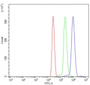 FCGR1A Antibody U937 FACS. Flow cytometry analysis of human U937 monocytic cells stained with FCGR1A antibody at 1 ug/million cells following goat serum blocking. A clear rightward fluorescence shift is observed relative to cells alone and isotype controls, supporting selective surface detection of FCGR1A / CD64, an innate immune receptor involved in IgG-mediated leukocyte activation and Fc receptor signaling pathways.