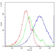 CD16 Antibody PBMC FACS. Flow cytometry analysis of human peripheral blood mononuclear cells stained with CD16 Antibody / Fc Gamma Receptor III Immune Marker at 1 ug/million cells following blocking with goat sera. A pronounced rightward fluorescence shift is observed relative to cells alone and isotype control populations, consistent with surface expression of FCGR3 / CD16 on immune cell subsets involved in antibody-dependent cellular cytotoxicity and Fc-mediated innate immune signaling pathways.