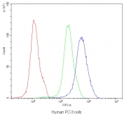 Flow cytometry testing of human PC-3 cells with SATB1 antibody at 1ug/10^6 cells (blocked with goat sera); Red=cells alone, Green=isotype control, Blue=SATB1 antibody.