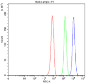 Flow cytometry testing of fixed human U937 cells with CD11b antibody at 1ug/million cells (blocked with goat sera); Red=cells alone, Green=isotype control, Blue=CD11b antibody.