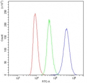 Flow cytometry testing of human Raji cells with ARSA antibody at 1ug/10^6 cells (blocked with goat sera); Red=cells alone, Green=isotype control, Blue= ARSA antibody.