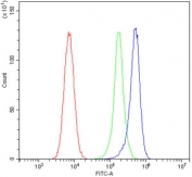 Flow cytometry testing of human 293T cells with FHIT antibody at 1ug/million cells (blocked with goat sera); Red=cells alone, Green=isotype control, Blue= FHIT antibody.