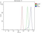 ITGA3 Antibody by FACS in human U87 cells. Flow cytometry analysis of paraformaldehyde-fixed human U87 cells using ITGA3 Antibody at 1 ug per 1 x 10^6 cells. The overlay histogram shows a clear rightward fluorescence shift with ITGA3 staining (blue) compared with the rabbit IgG isotype control (green) and unstained control (red). Cells were labeled with Fluoro488-conjugated goat anti-rabbit IgG. This Integrin Alpha 3 Polyclonal Antibody detects CD49c in fixed U87 cells.