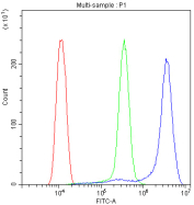 Flow cytometry analysis of fixed and permeabilized human ThP-1 cells with Properdin antibody at 1ug/million cells (blocked with goat sera); Red=cells alone, Green=isotype control, Blue= Properdin antibody.