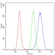 Keratin 8 Antibody A549 Cell FACS. Flow cytometry analysis of human A549 cells using Keratin 8 Antibody demonstrates a clear rightward shift of the positive cell population (blue) relative to the isotype control (green), consistent with expression of Cytokeratin 8 (CK8/KRT8). Cytokeratin 8 is a type II intermediate filament protein widely expressed in simple epithelial cells and epithelial-derived tumor cell lines, where it contributes to cytoskeletal organization and cellular structural integrity. Cells were blocked with goat serum prior to staining. Red=cells alone; Green=isotype control; Blue=Keratin 8 antibody.