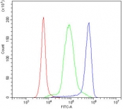 Flow cytometry testing of human PBM cells with CD47 antibody at 1ug/10^6 cells (blocked with goat sera); Red=cells alone, Green=isotype control, Blue= CD47 antibody.