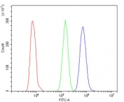 Flow cytometry testing of human HL60 cells with ARNTL2 antibody at 1ug/million cells (blocked with goat sera); Red=cells alone, Green=isotype control, Blue= ARNTL2 antibody.