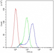 Flow cytometry testing of human A549 cells with RRBP1 antibody at 1ug/10^6 cells (blocked with goat sera); Red=cells alone, Green=isotype control, Blue= RRBP1 antibody.