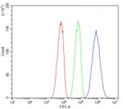 Flow cytometry testing of human SiHa cells with SMARCAD1 antibody at 1ug/million cells (blocked with goat sera); Red=cells alone, Green=isotype control, Blue= SMARCAD1 antibody.