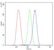 Flow cytometry testing of human U-87 MG cells with CRB1 antibody at 1ug/million cells (blocked with goat sera); Red=cells alone, Green=isotype control, Blue= CRB1 antibody.