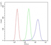 Flow cytometry testing of human A431 cells with MID1 antibody at 1ug/million cells (blocked with goat sera); Red=cells alone, Green=isotype control, Blue= MID1 antibody.
