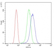 Flow cytometry testing of human U-87 MG cells with eNOS antibody at 1ug/million cells (blocked with goat sera); Red=cells alone, Green=isotype control, Blue= eNOS antibody.