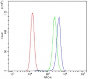 MMP1 Antibody PC-3 Cell FACS. Flow cytometry analysis of human PC-3 cells using MMP1 Antibody / Interstitial Collagenase Antibody at 1 ug/million cells. Cells were blocked with goat sera prior to staining. The blue histogram represents MMP1 antibody staining, the green histogram represents the isotype control and the red histogram represents cells alone. A distinct rightward shift of the antibody-stained population demonstrates specific detection of MMP1 expression in PC-3 cells. These results support the use of MMP1 Antibody / Interstitial Collagenase Antibody for studying extracellular matrix remodeling, interstitial collagenase expression and cancer-associated tissue remodeling pathways.