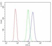 ALDH1A1 Antibody FACS. Flow cytometry analysis of human HL60 cells stained with ALDH1A1 antibody. The ALDH1A1-positive population (blue) shows a distinct fluorescence shift compared to the isotype control (green) and unstained cells (red), supporting expression of Aldehyde dehydrogenase 1 family member A1 / ALDH1A1 in this promyelocytic leukemia cell line. Cells were blocked with goat sera prior to staining and tested at 1 ug antibody per million cells.