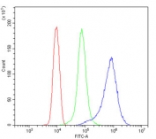 Desmin Antibody FACS. Flow cytometry testing of human ThP-1 cells with Desmin antibody at 1ug/million cells (blocked with goat sera); Red=cells alone, Green=isotype control, Blue= Desmin antibody.