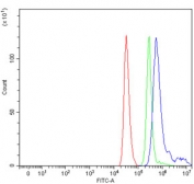 Flow cytometry testing of human ThP-1 cells with Exonuclease 1 antibody at 1ug/million cells (blocked with goat sera); Red=cells alone, Green=isotype control, Blue= Exonuclease 1 antibody.