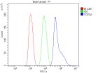 TOP2A Antibody HepG2 Cell FACS. Flow cytometric analysis of fixed and permeabilized human HepG2 cells using TOP2A Antibody / Topoisomerase II Alpha Antibody at 1 ug/10^6 cells. The blue histogram represents TOP2A staining, the green histogram shows the rabbit IgG isotype control, and the red histogram represents the unstained control. A clear rightward shift of the TOP2A-stained population demonstrates specific intracellular detection of TOP2A. This TOP2A Antibody, also called Topoisomerase II Alpha Antibody, is suitable for studies of cell proliferation, DNA replication, chromosome segregation, and cancer biology.