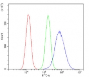 MVP Antibody for FACS in Human A549 Cells. Flow cytometry analysis of Major Vault Protein (MVP / LRP) expression in human A549 cells using a mouse monoclonal antibody (8B12). Cells were fixed, permeabilized, and stained at 1 ug per million cells. The MVP antibody (blue) demonstrates a clear rightward shift relative to the isotype control (green) and unstained cells (red), indicating specific intracellular detection. The separation of populations supports reliable gating and quantitative single-cell analysis, consistent with the known expression of Major vault protein in epithelial-derived cancer cells and its role in drug resistance and cellular stress response pathways.
