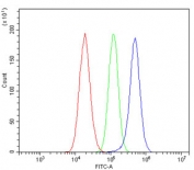 Flow cytometry testing of human U-87 MG cells with HIF3A antibody at 1ug/million cells (blocked with goat sera); Red=cells alone, Green=isotype control, Blue= HIF3A antibody.