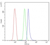 Flow cytometry testing of fixed and permeabilized human U937 cells with HMMR antibody at 1ug/million cells (blocked with goat sera); Red=cells alone, Green=isotype control, Blue= HMMR antibody.