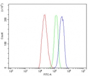 Flow cytometry testing of rat C6 cells with LRPPRC antibody at 1ug/million cells (blocked with goat sera); Red=cells alone, Green=isotype control, Blue= LRPPRC antibody.