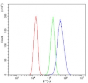 Flow cytometry testing of human SiHa cells with DDX4 antibody at 1ug/million cells (blocked with goat sera); Red=cells alone, Green=isotype control, Blue= DDX4 antibody.
