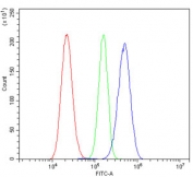 Desmoglein 2 Antibody RH35 FACS. Flow cytometry analysis of rat RH35 cells stained with Desmoglein 2 antibody detecting DSG2. The antibody signal (blue) shows a clear rightward shift compared to cells alone (red) and isotype control (green), indicating positive surface-associated detection of DSG2. This pattern is consistent with Desmoglein 2 as a membrane-localized desmosomal cadherin involved in epithelial cell-cell adhesion and junctional integrity.