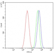 ALPL Antibody HepG2 FACS. Flow cytometry analysis of human HepG2 cells stained with ALPL Antibody / Phosphate Metabolism Enzyme Antibody demonstrates a distinct right-shifted fluorescence population relative to the isotype control, consistent with cell-associated expression of alkaline phosphatase, tissue-nonspecific isozyme / ALPL. This phosphate metabolism enzyme is associated with epithelial differentiation and extracellular phosphate regulation pathways in metabolically active cellular populations. Red=cells alone, Green=isotype control, Blue=ALPL antibody.