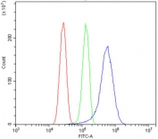GRB14 Antibody Human U-87 MG FACS. Flow cytometry testing of human U-87 MG cells with GRB14 antibody at 1ug/million cells (blocked with goat sera); Red=cells alone, Green=isotype control, Blue= GRB14 antibody.