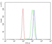 Flow cytometry testing of human U937 cells with POT1 antibody at 1ug/million cells (blocked with goat sera); Red=cells alone, Green=isotype control, Blue= POT1 antibody.