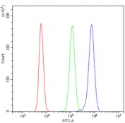 Flow cytometry testing of mouse RAW264.7 cells with CMBL antibody at 1ug/million cells (blocked with goat sera); Red=cells alone, Green=isotype control, Blue= CMBL antibody.