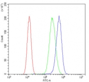 Flow cytometry testing of human A549 cells with DNM1L antibody at 1ug/million cells (blocked with goat sera); Red=cells alone, Green=isotype control, Blue= DNM1L antibody.