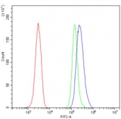 Flow cytometry testing of mouse RAW264.7 cells with Tnfrsf17 antibody at 1ug/million cells (blocked with goat sera); Red=cells alone, Green=isotype control, Blue= Tnfrsf17 antibody.