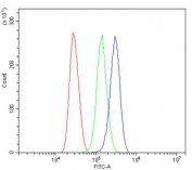 ARG1 Antibody for FACS (clone 2B12) flow cytometry analysis of human Jurkat cells. Flow cytometry testing of human Jurkat cells stained with the mouse monoclonal ARG1 Antibody for FACS at 1ug per million cells shows a clear fluorescence shift (blue) relative to the isotype control (green), indicating intracellular detection of Arginase-1 (ARG1). Cells were blocked with goat sera prior to antibody incubation. Red trace represents unstained cells, green trace represents isotype control staining, and blue trace represents staining with the ARG1 antibody, demonstrating specific detection of ARG1-positive cells by flow cytometry.