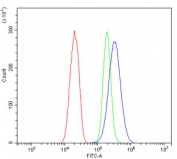 ARG1 Antibody for FACS (clone 2B12) flow cytometry analysis of human SiHa cells. Flow cytometry testing of human SiHa cells stained with the mouse monoclonal ARG1 Antibody for FACS at 1ug per million cells demonstrates a rightward fluorescence shift of the ARG1 antibody signal (blue) relative to the isotype control (green), indicating detection of intracellular Arginase-1 (ARG1). Cells were blocked with goat sera prior to antibody incubation. The red trace represents unstained cells, the green trace represents the isotype control, and the blue trace represents staining with the ARG1 antibody, confirming specific ARG1 detection by flow cytometry.
