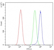 Flow cytometry testing of human A549 cells with Endothelin A Receptor antibody at 1ug/million cells (blocked with goat sera); Red=cells alone, Green=isotype control, Blue= Endothelin A Receptor antibody.