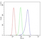 MLC1 Antibody FACS. Flow cytometry testing of human ThP-1 cells with MLC1 antibody at 1ug/million cells (blocked with goat sera); Red=cells alone, Green=isotype control, Blue= CD59 antibody.