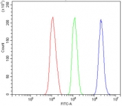 Flow cytometry testing of mouse HEPA1-6 cells with Rad9b antibody at 1ug/million cells (blocked with goat sera); Red=cells alone, Green=isotype control, Blue= Rad9b antibody.