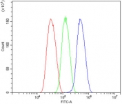 Flow cytometry testing of human HepG2 cells with GAP43 antibody at 1ug/million cells (blocked with goat sera); Red=cells alone, Green=isotype control, Blue= GAP43 antibody.