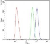 Flow cytometry testing of human U-2 OS cells with BCAM antibody at 1ug/million cells (blocked with goat sera); Red=cells alone, Green=isotype control, Blue= BCAM antibody.