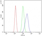 Gastrotropin Antibody 293T Cells FACS. Flow cytometric analysis of human 293T cells was performed using Gastrotropin antibody at 1 ug per million cells following blocking with goat sera. Gastrotropin, also known as Intestinal Lipid Binding Protein and FABP6, is an intracellular Bile Acid Binding Protein involved in bile acid transport and lipid homeostasis. Red histogram: cells alone. Green histogram: isotype control. Blue histogram: Gastrotropin antibody. The marked rightward shift of the Gastrotropin antibody signal relative to the controls demonstrates specific detection of endogenous FABP6 expression in 293T cells. These results support the utility of Gastrotropin Antibody for studies of bile acid metabolism, nutrient transport, and gastrointestinal physiology.