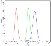 Flow cytometry testing of human Raji cells with CD123 antibody at 1ug/million cells (blocked with goat sera); Red=cells alone, Green=isotype control, Blue= CD123 antibody.